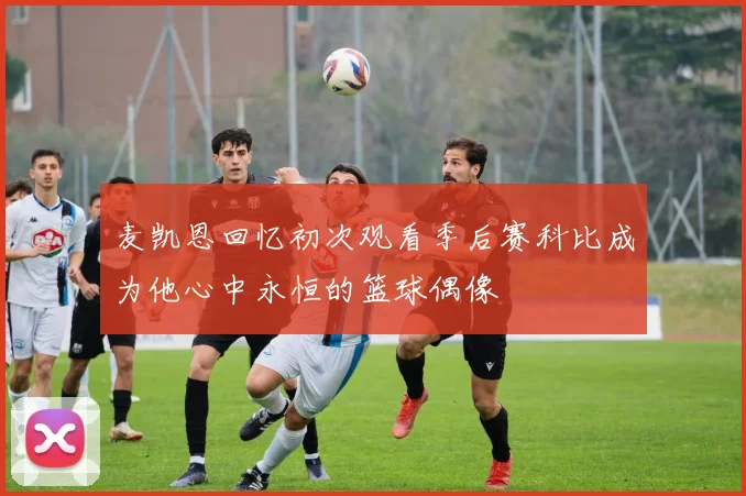 麦凯恩回忆初次观看季后赛科比成为他心中永恒的篮球偶像