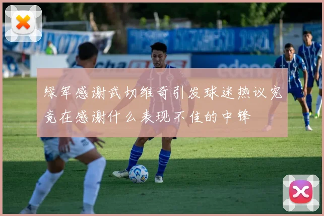 绿军感谢武切维奇引发球迷热议究竟在感谢什么表现不佳的中锋